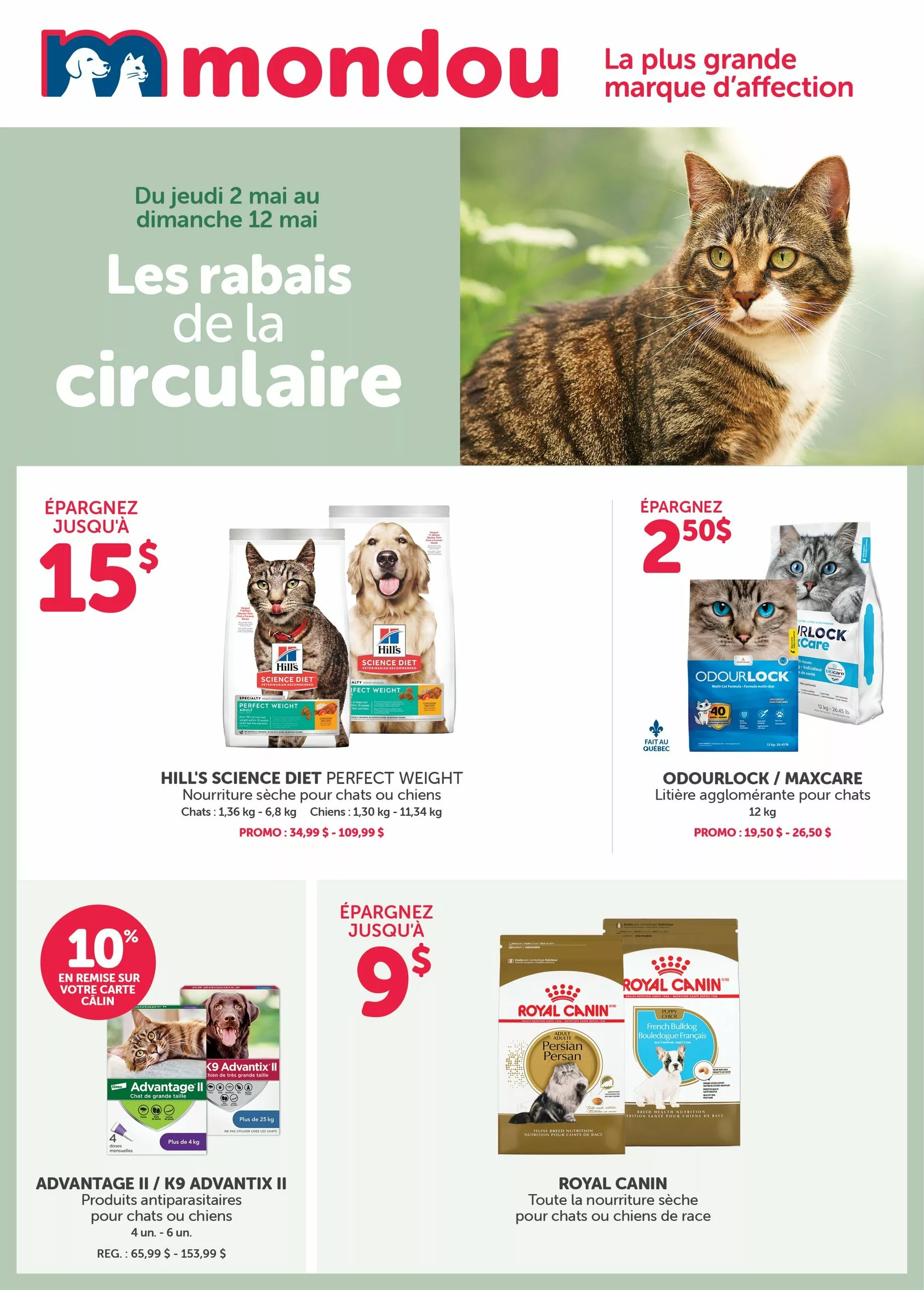 mondou-01