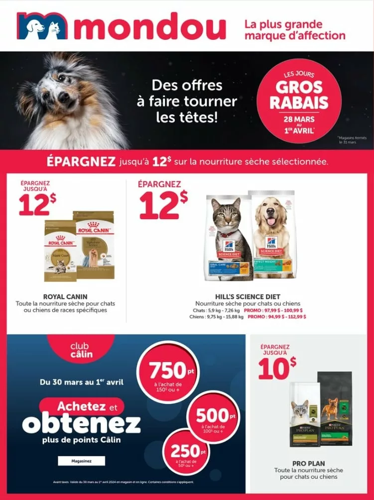 mondou-1