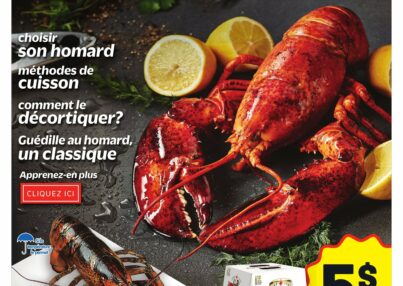 homard-1